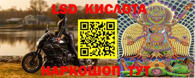 эйфоретик Будённовск